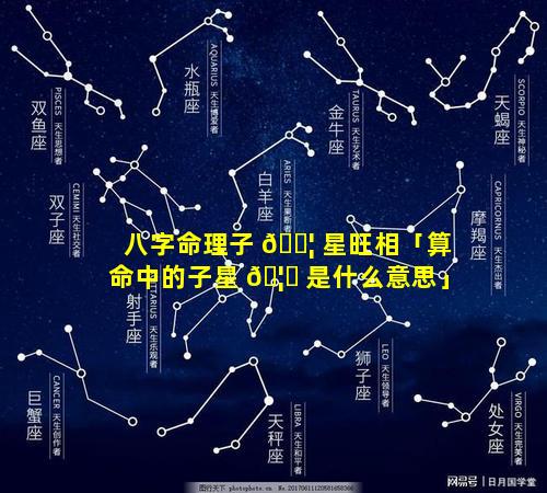 八字命理子 🐦 星旺相「算命中的子星 🦅 是什么意思」